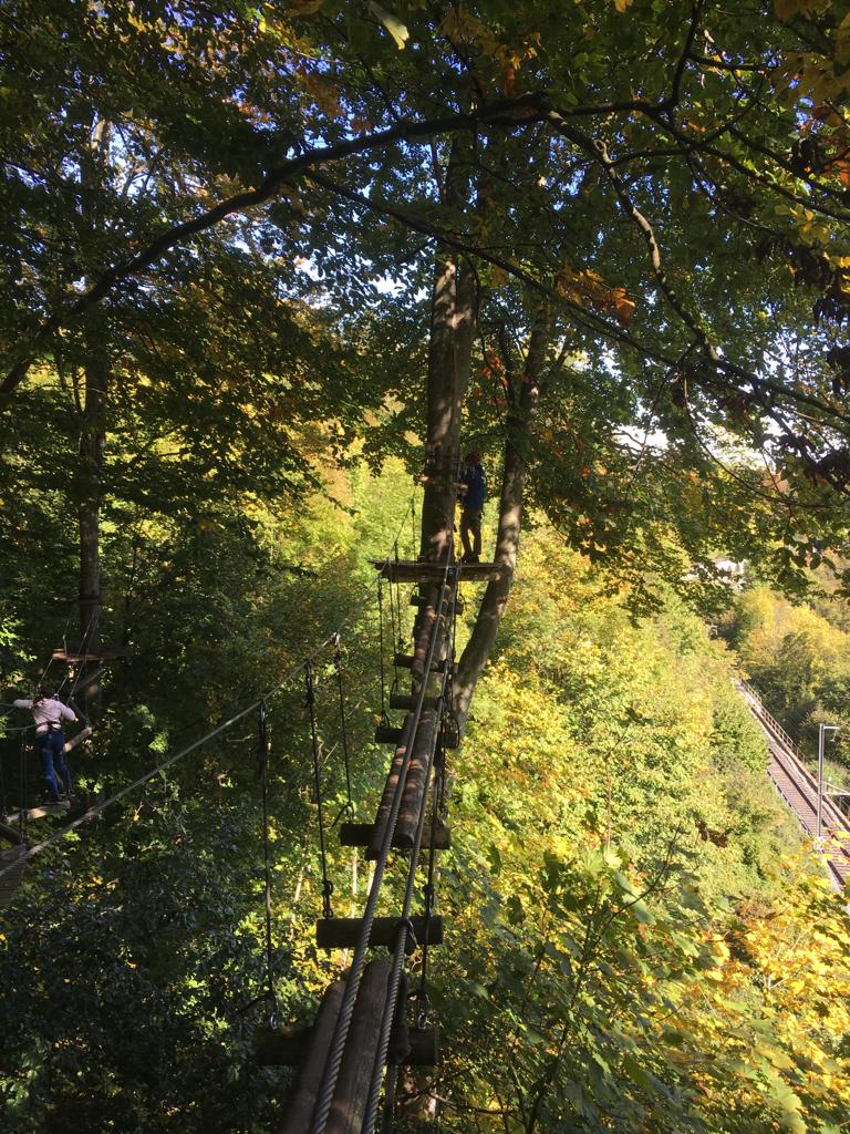 Hochseilgarten - von Baum zu Baum
