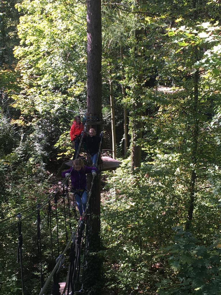 Hochseilgarten - von Baum zu Baum