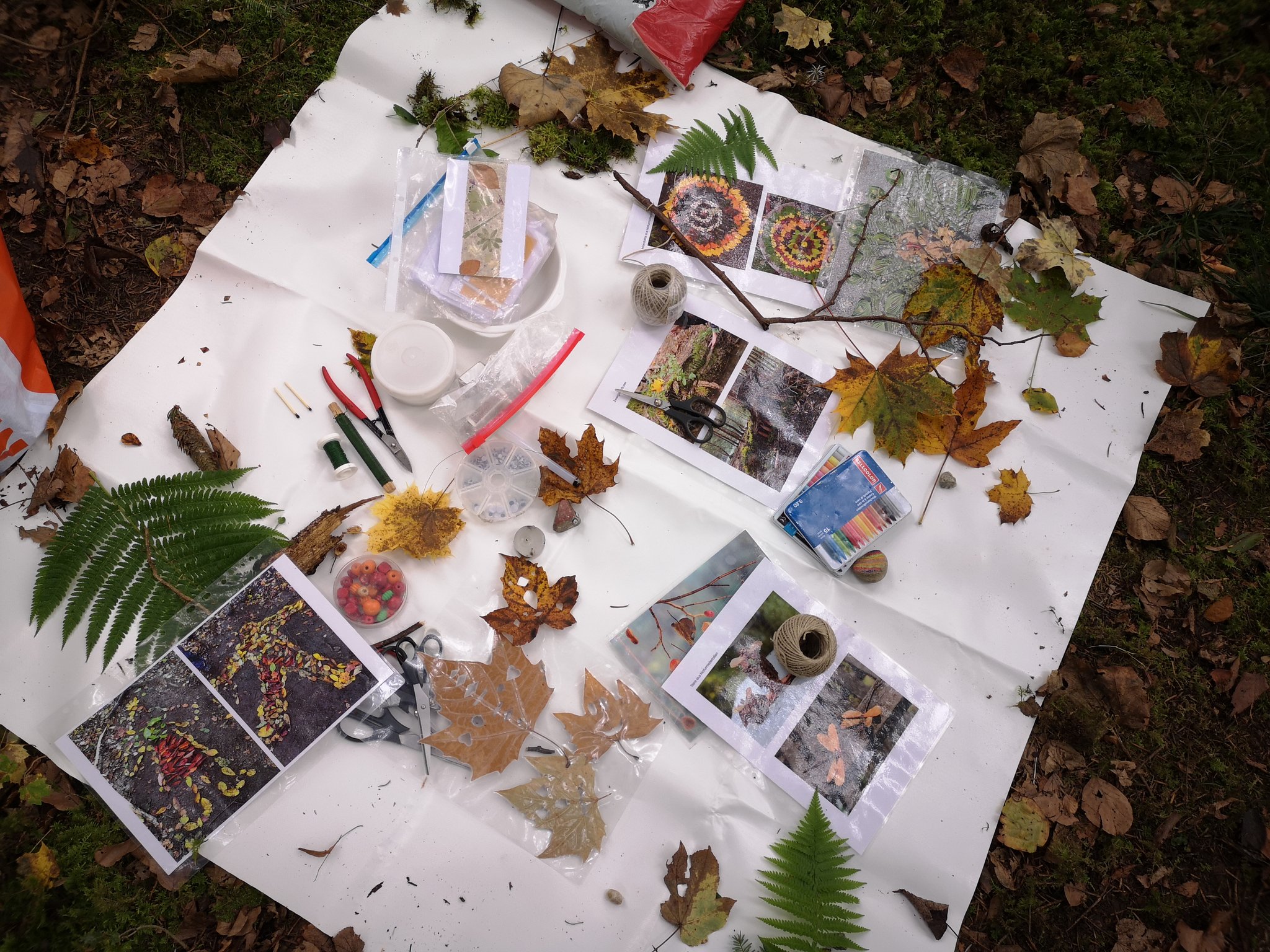 kreative Waldwerkstatt