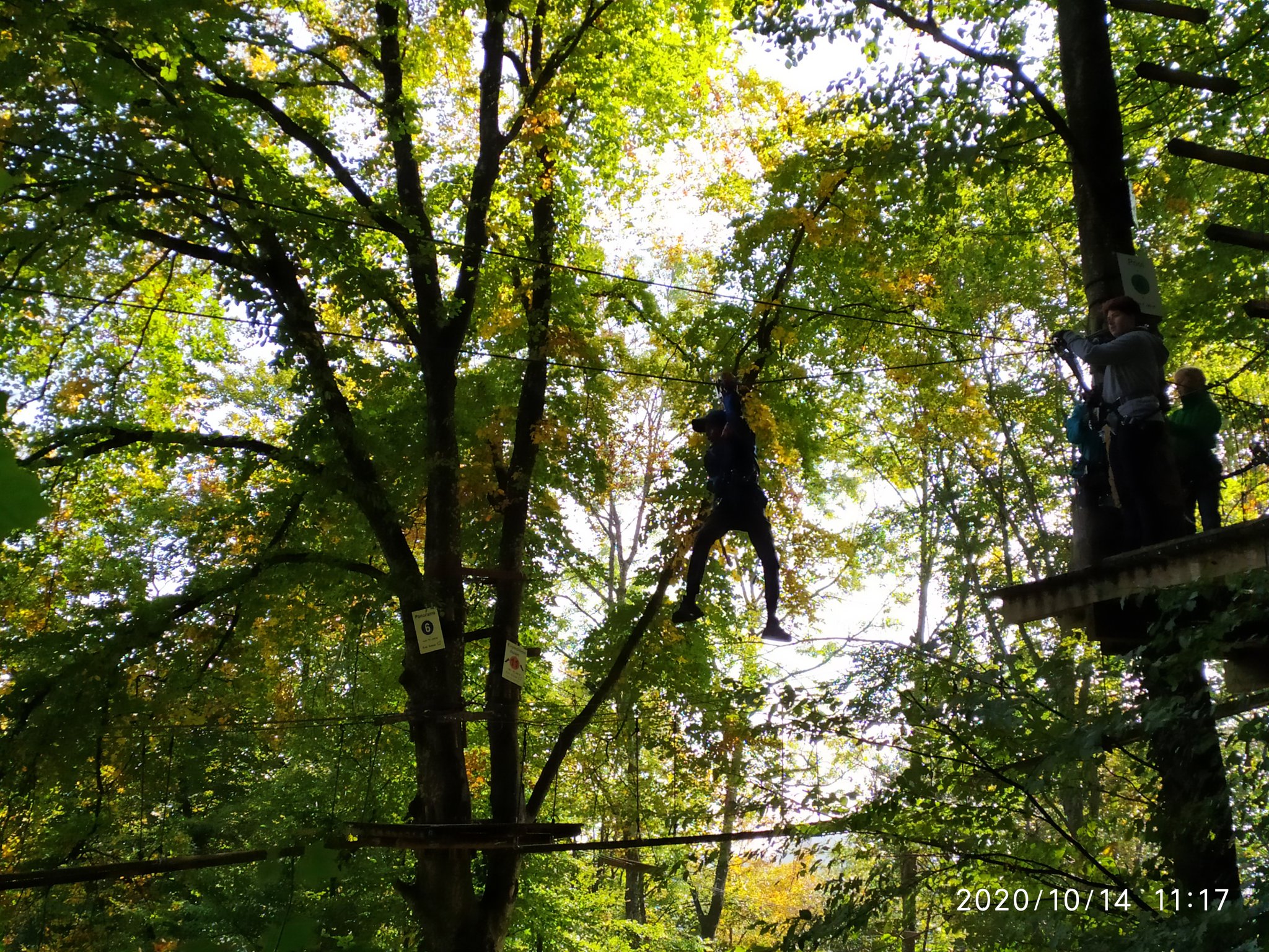 Hochseilgarten - von Baum zu Baum