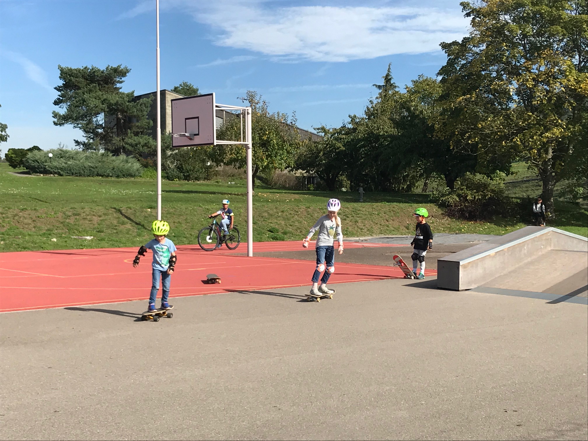 Skateboardkurs für Anfänger