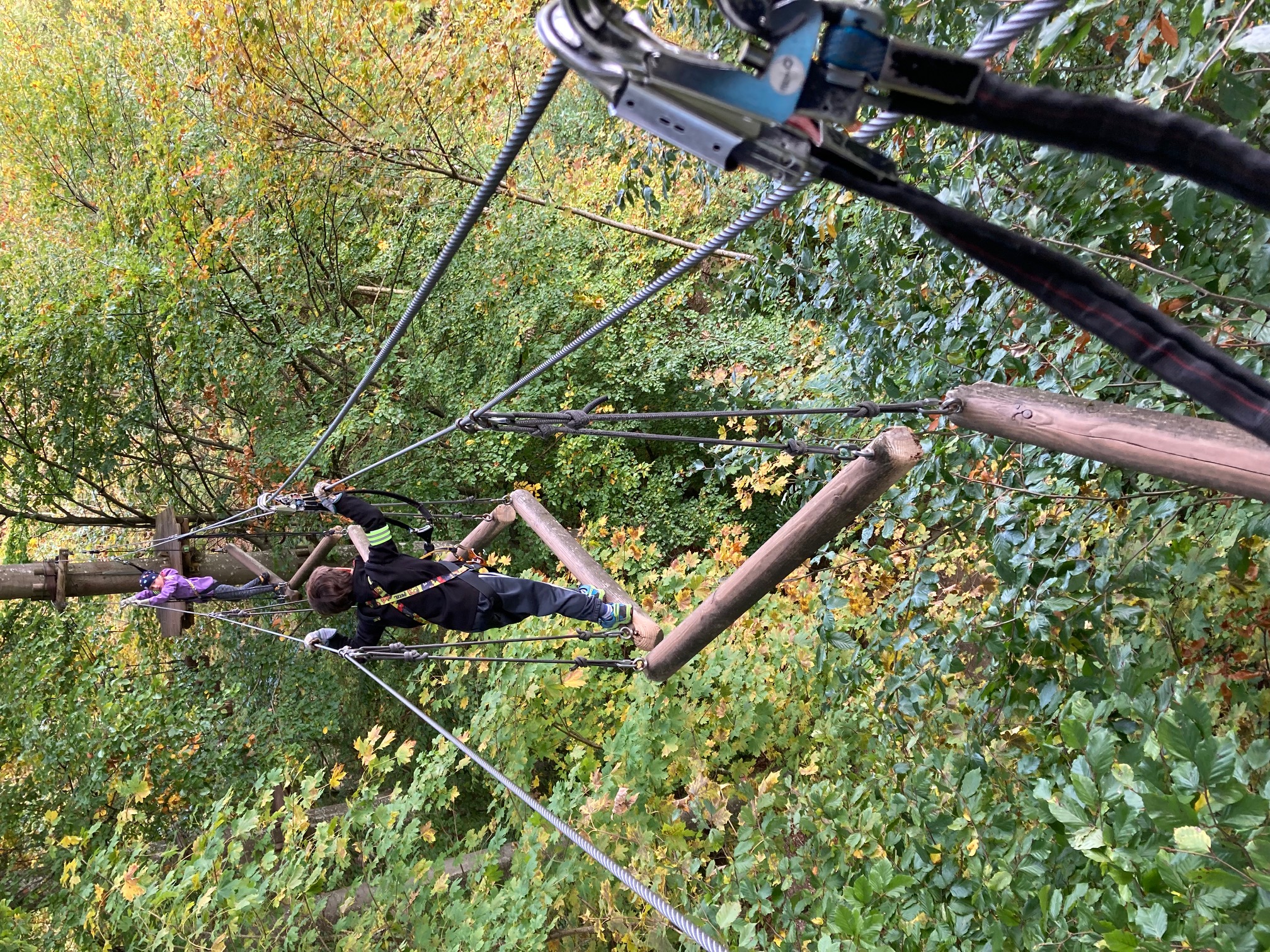 Hochseilgarten - von Baum zu Baum