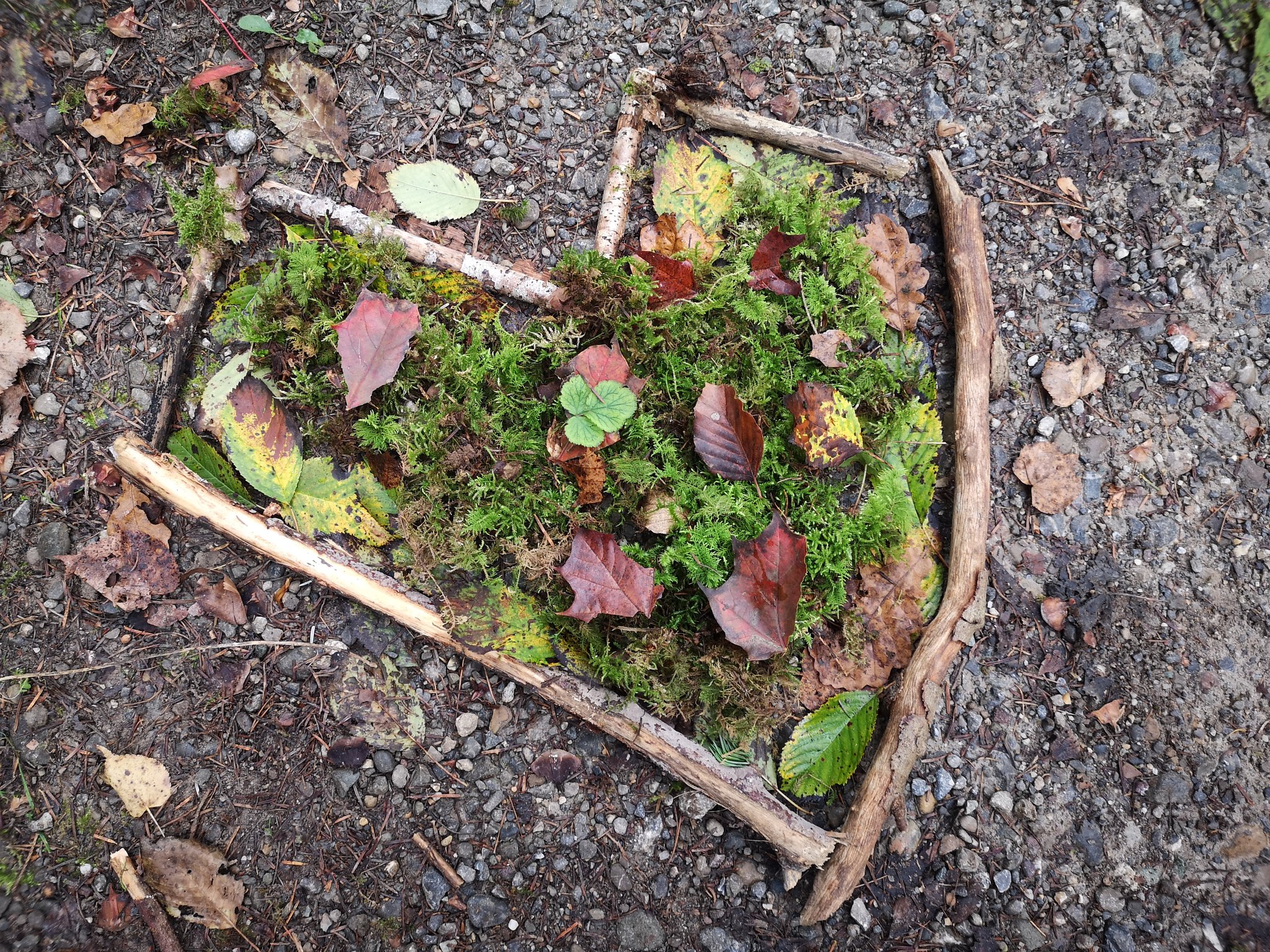 kreative Waldwerkstatt