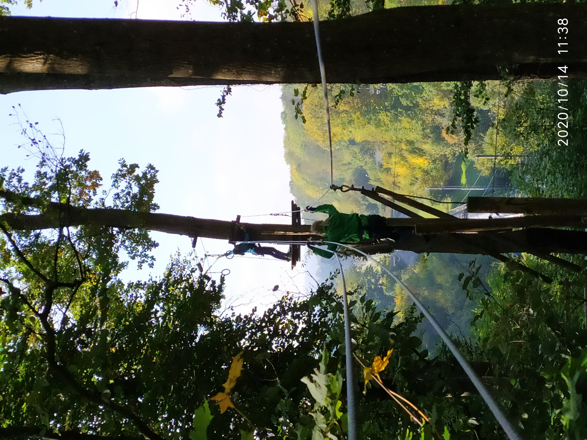 Hochseilgarten - von Baum zu Baum