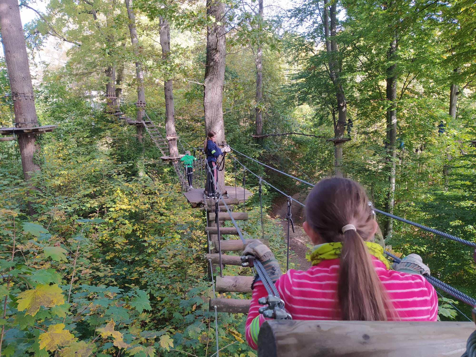 Hochseilgarten - von Baum zu Baum