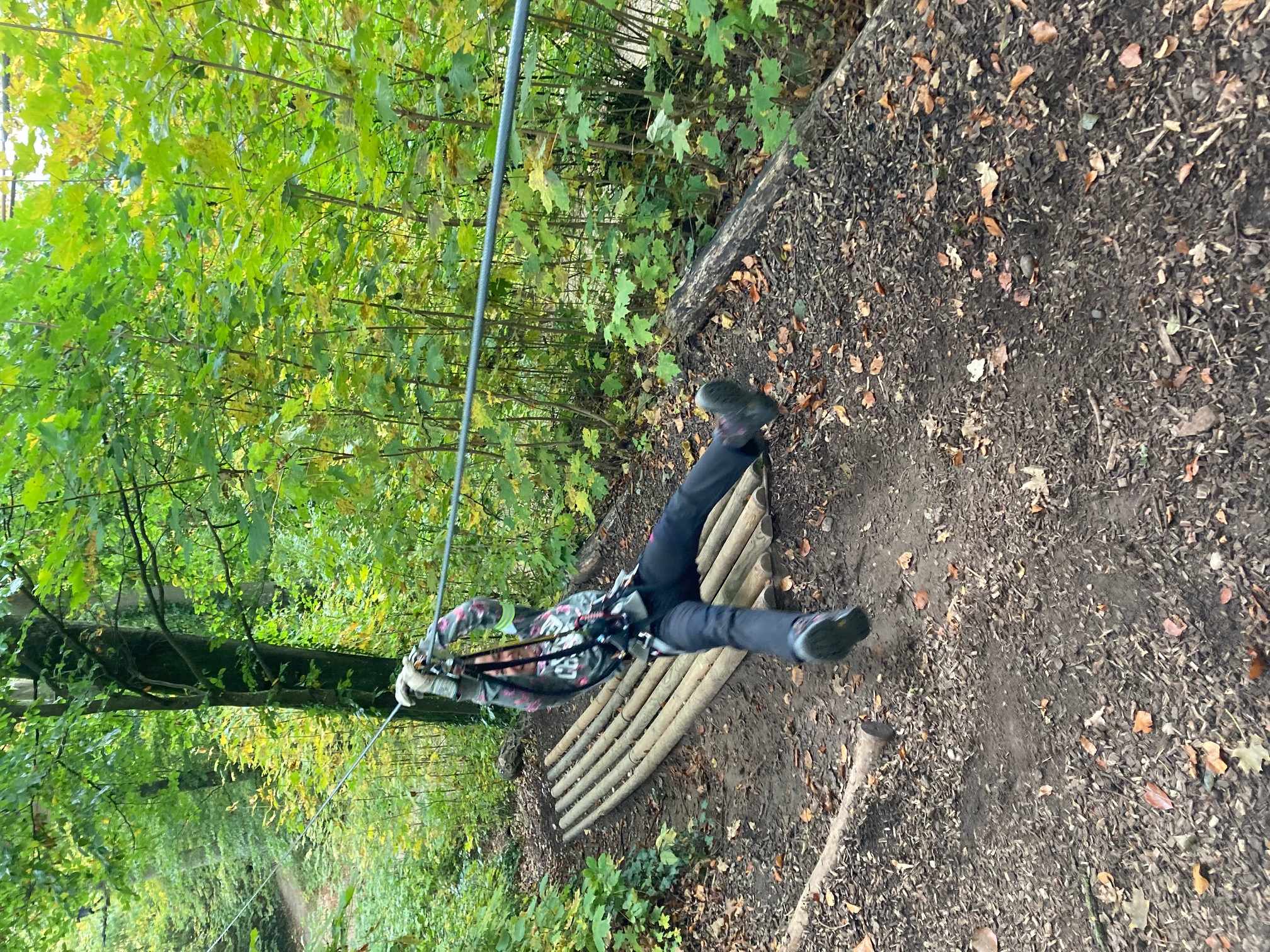 Hochseilgarten - von Baum zu Baum